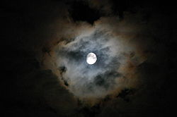 ירח מאיר בשמי הלילה