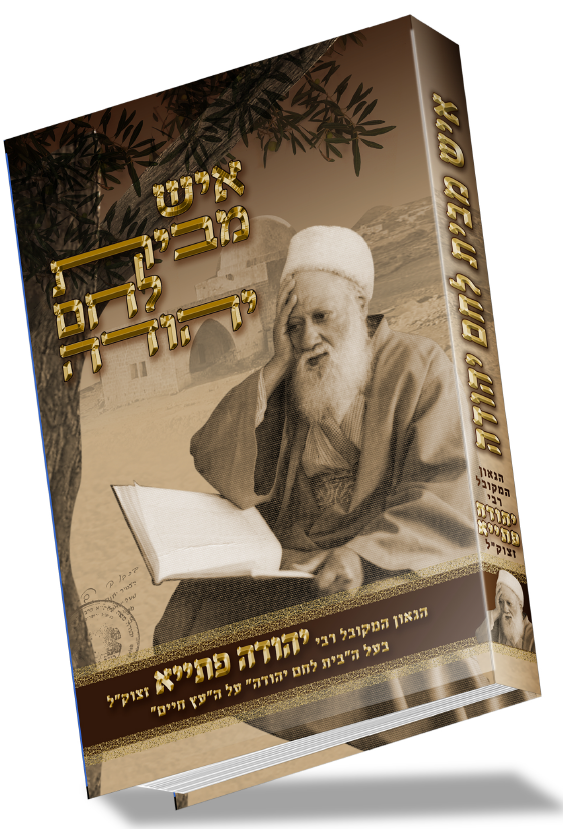 תמונה- הדמית הספר-  איש מבית לחם -הרב יהודה פתייא